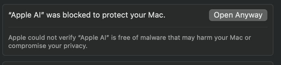 Open Anyway Security Setting